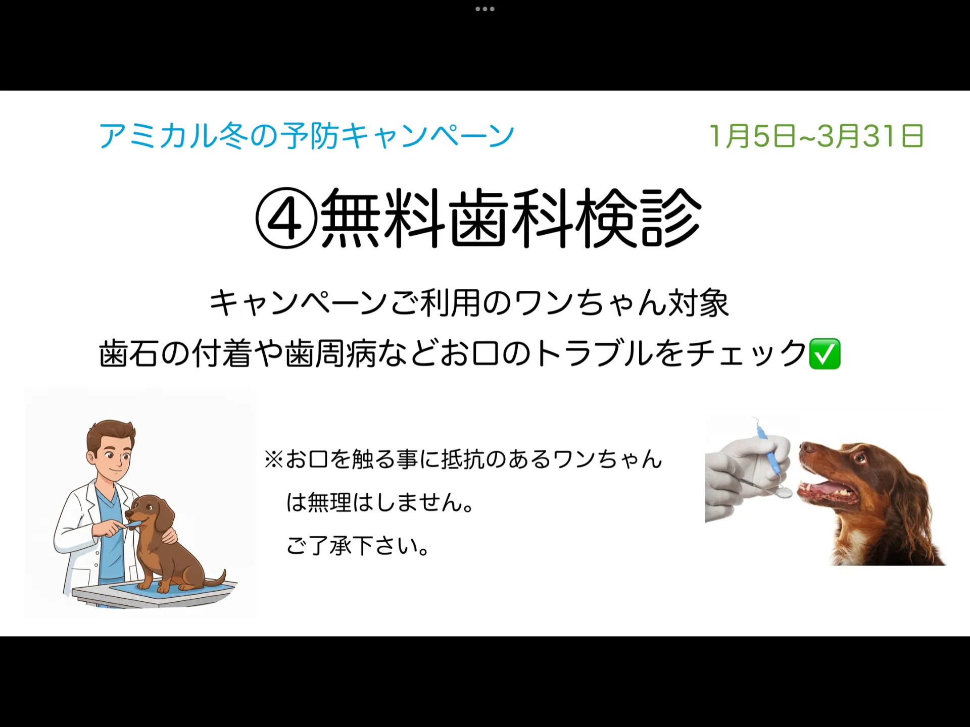 冬のキャンペーン④無料歯科検診 (町田市/動物病院)