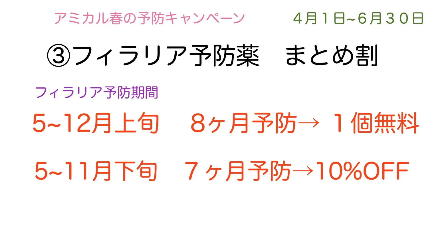 春のキャンペーン③フィラリア予防薬まとめ割 【犬】町田市/動物病院