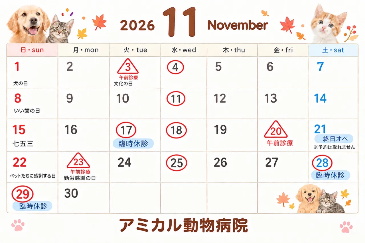 11月のお知らせ🍁
