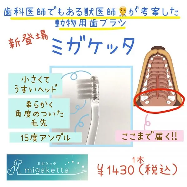 🦷新登場　動物用歯ブラシ『ミガケッタmigaketta 』